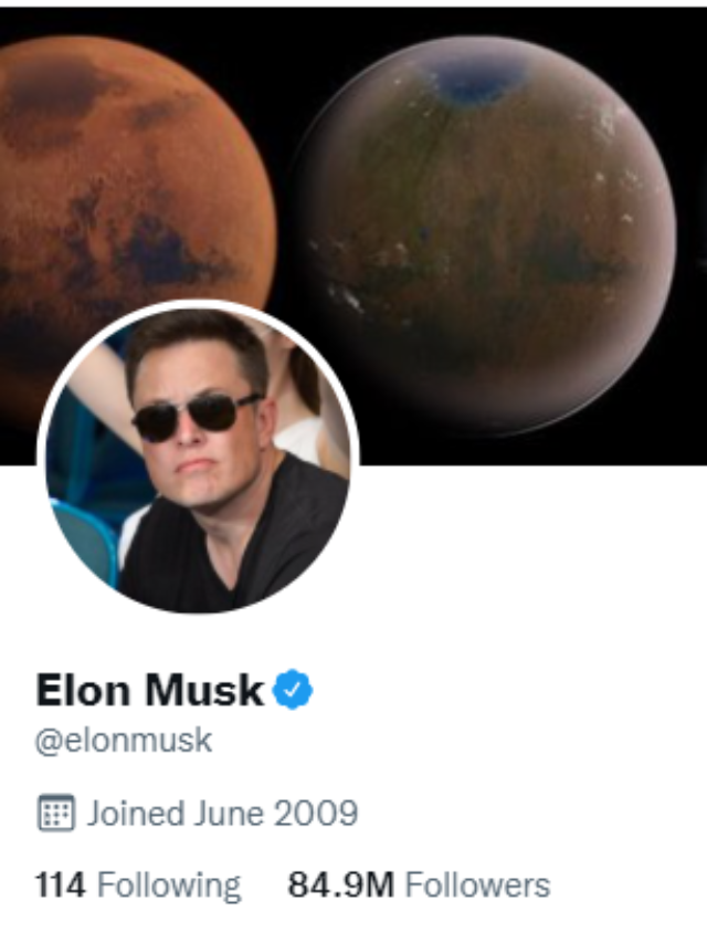 cropped-elon.png