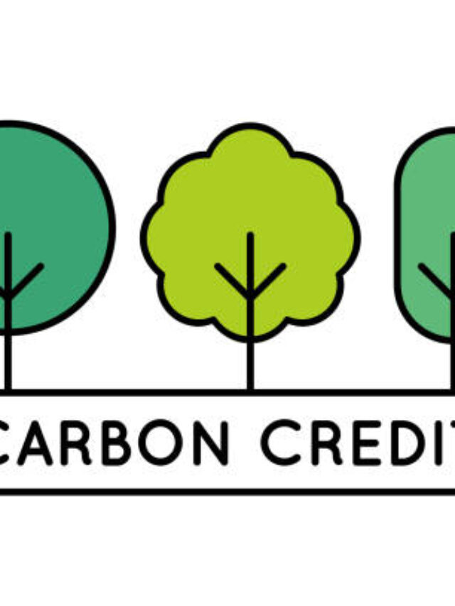 What is Carbon credit?